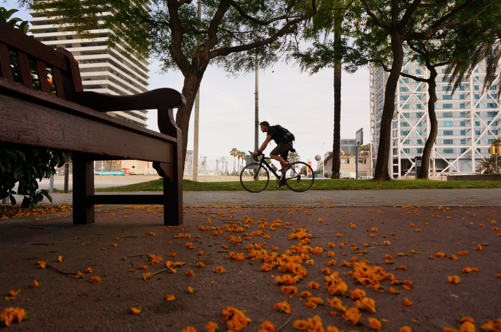 Från Ronda Litoral, med Torre Mapfre till vänster och Hotel Arts och kasinot till höger. Rakt fram? Hamnen, Port Olimpic.